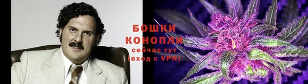 jwh Горняк