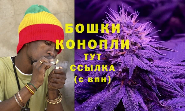 стаф Горно-Алтайск