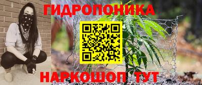 эйфоретик Анапа
