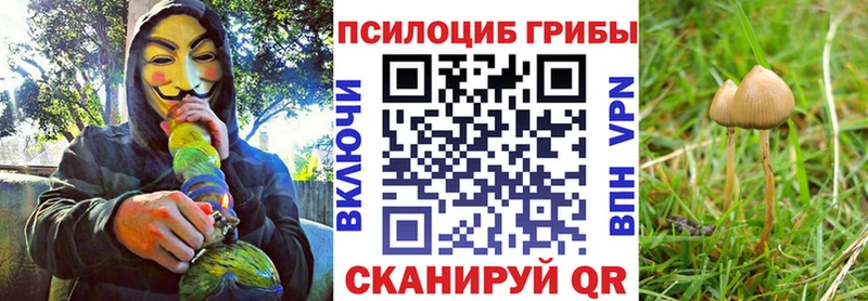 Галлюциногенные грибы Psilocybine cubensis  гидра как зайти  Белорецк  наркотики 