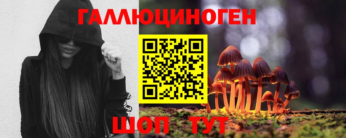 Псилоцибиновые грибы Cubensis  Галлюциногенные грибы мицелий  Белорецк 